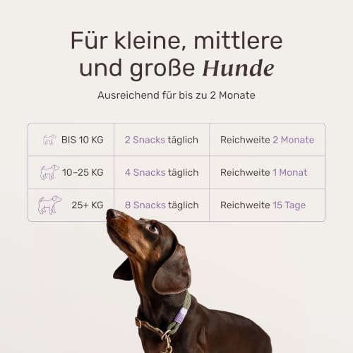 mammaly Forever Young® Senior-Komplex mit Kollagen & Kurkuma (bis 60 Tage) – Ansicht 4
