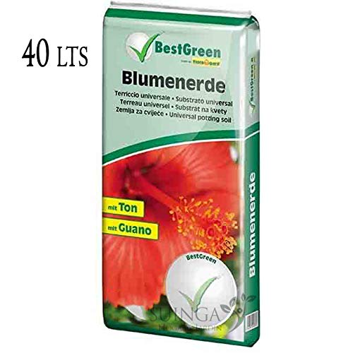 SUSTRATO UNIVERSAL BESTGREEN. Saco de turba 40 Litros. Substrato ...