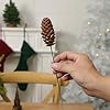 Pack of 20 Artificial Christmas Pine Cone Picks Sprays Spruce Pinecones Branches 10" for Xmas Tree Ornament Rustic Centerpiece Flower Arrangements Wreath Craft Supplies Holiday Winter Decor (Natural) #2
