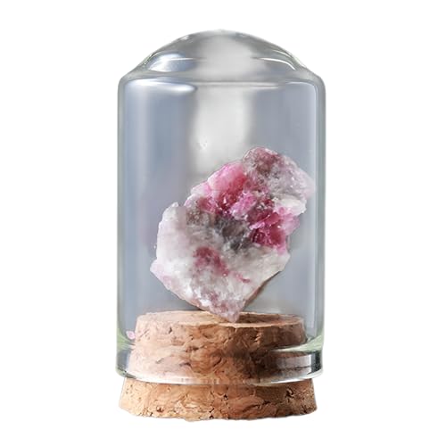 [prosekor]7/25VRzΕW{Zbg ΂ ΕW{yےnwcF IGC {̒nW{zKXr+ؐX^h W{Lbg ۂݏ qǂTCGXLbg NX}X v[g bN~l RNV 