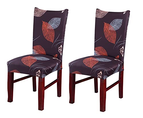 Image of House of Quirk Elastic Chair Cover Stretch Removable Washable Short Dining Chair Cover Protector Seat Slipcover ((Pack of 2, Choco Leaf))