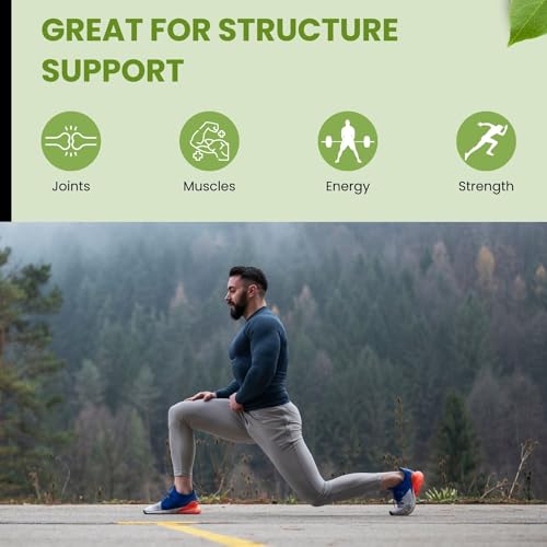 Shifaa Nutrition SN-0037 Halal & Grass-Fed Collagen Peptides Powder 1 Lb.  thumb #5