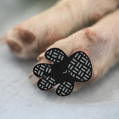 Anti-Rutsch Pfotenschutz für Hunde 4 Stücke,Selbstklebende Silikon-Gel Beständig rutschfest Traktion Hund Schuhe Hundeschuhe Hundesocken Ersetzen XXL (Schwarz, M)