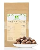 Muskatnuss Ganz von der Grünen Essenz - ca. 12 Stück für die Gewürzmühle - Muskat natürlich ohne Zusätze - Muskatnüsse getrocknet - Aromatisch und frisch