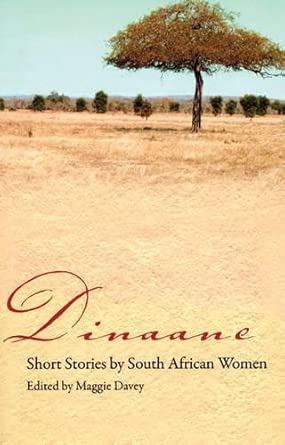 Dinaane: Short Stories by South African Women-Wow! eBook