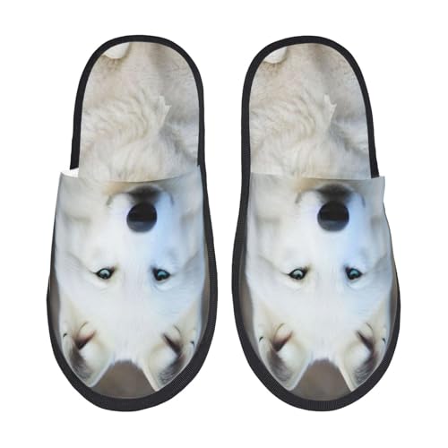 [JECASS]  13 lC v[g Aj Xbp  Y 􂦂 gC qp p E Xbpjp LN^[ ObY  fB[X ~ 킢 qpm