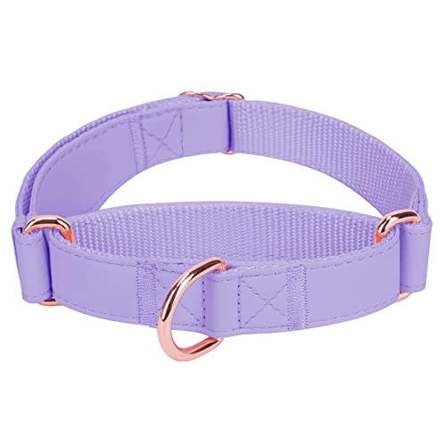 Soft Leather Martingale Dog Collar - Adjustable Rose Gold Limited Slip Collars [Easy to Clean...