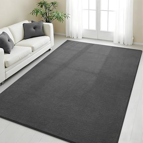 Vasofe 4x6 Soft Rugs for Living Room Bedroom,Grey Modern Washable