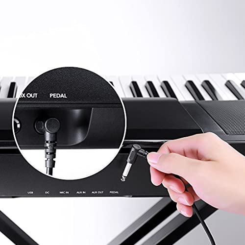 Rosen Universal Sustain Pedal For Keyboard Pedal Footswitches With Piano Style Action For Midi Keyboards, Digital Pianos #TOP2