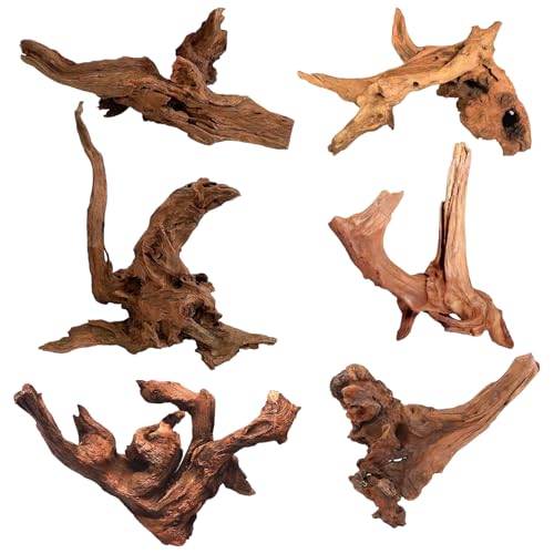 NEUSID 6 PCS Driftwood for Aquarium Natural Fish Tank Branches Wood Decorations for Aquascaping Micro-aquariums Hardscape Reptiles Decor