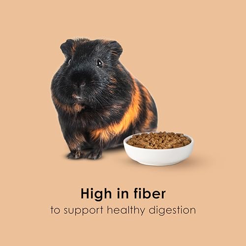 Kaytee Timothy Complete Guinea Pig Food with Timothy Hay, 25 Pounds - image 5