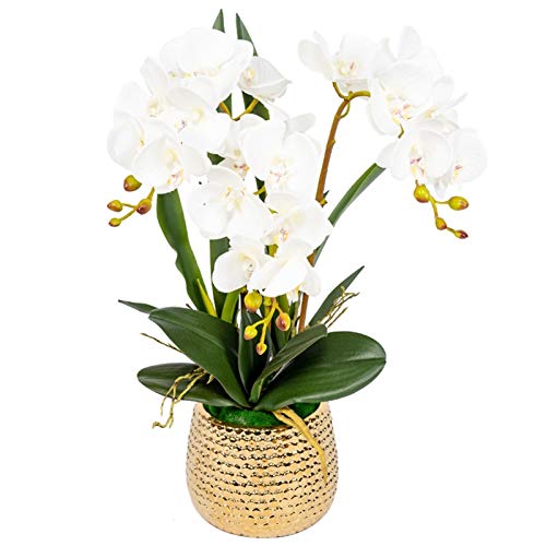 Fleurs d'orchidées artificielles durables sans entretien pour la maison