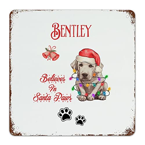 Panneau en métal Believes in Santa Dog plaque rustique haute qualité