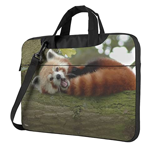 13/14/15/15.6C` m[gp\RP[X Ռz PCP[X p\RobO rWlXu[tP[X V_[obO bvgbv یP[X 񂰃Jo p\R΂ t @\ ʋ ʊw A o s jpi