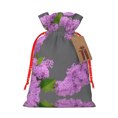 Cvnbmakk t[~OCbN̉Ԃ̉ NX}XВMtgobO L&M sDzg[gobO̓zf[p[eB[ɍœK