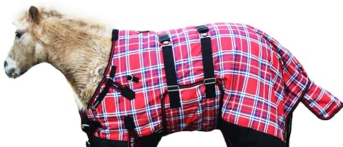 Image of CHALLENGER 1200D Foal Winter Blanket Miniature Pony Donkey Bellyband Turquoise Rustic