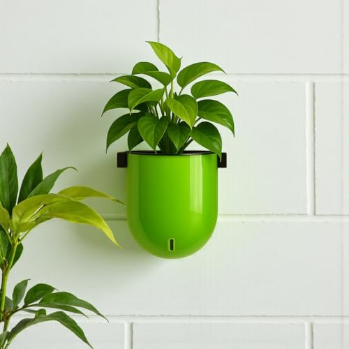 Image of Indian Discovery Self Watering Wall Hanging Planter|Hanging /Hooked Flower Pots for Home, Balcony, Garden Decor Flower Pots(1 Pcs, Parrot Green, Sphere)|6 Inch UV-Resistant Plastic Plant Pots