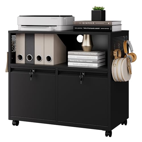 Letaya Mobile 2 Drawer File Cabinet with Lock, Metal Lateral Printer Stand Filing Storage Cabinets...