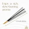 Gonesh - Extra Rich Scented Incense Sticks Variety Pack - Non-Toxic 10 Slow Burn Aromatic Sticks - Ocean, Cryptic Woods, Sage, Arctic Chill, Black Orchid - 5 Packs of 20