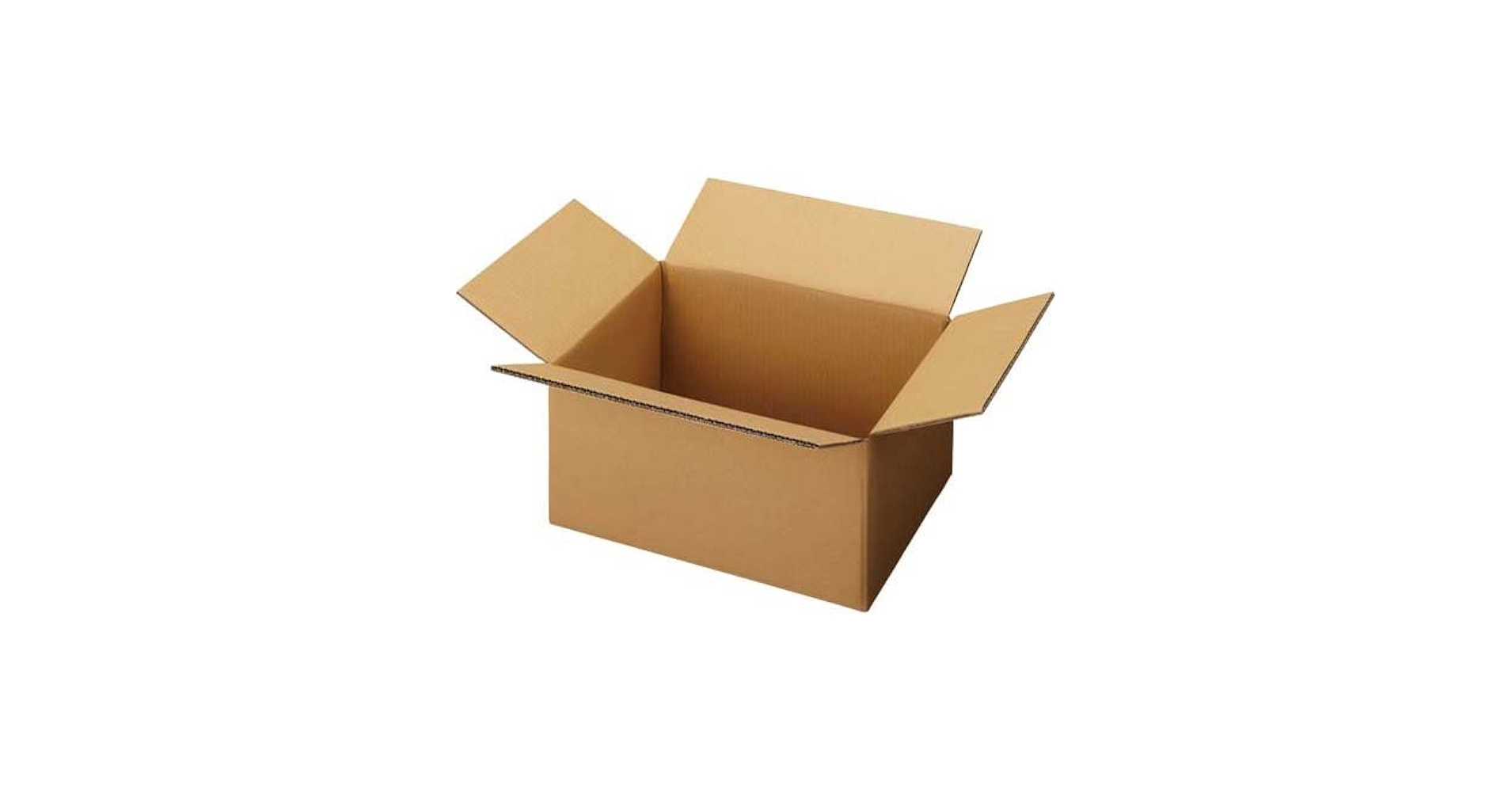 ESTH 新品　120g✖️2箱 Amazon | セッツカートン 無地ダンボール厚手 No.4-1(底面LL)10