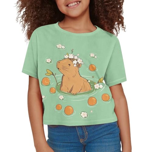 Image of Girls Crop Tees Crew Neck Casual Short Sleeve T Shirts Kids Loose Soft Comfortable Tees Blouses Shirt for Little Girl