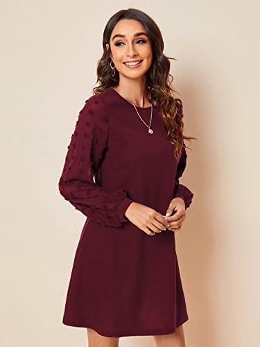 Image of SweatyRocks Women's Elegant Mesh Contrast Long Sleeve A Line Mini Short Dress