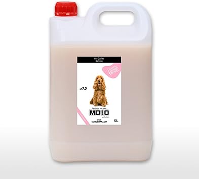 cocker spaniel shampoo