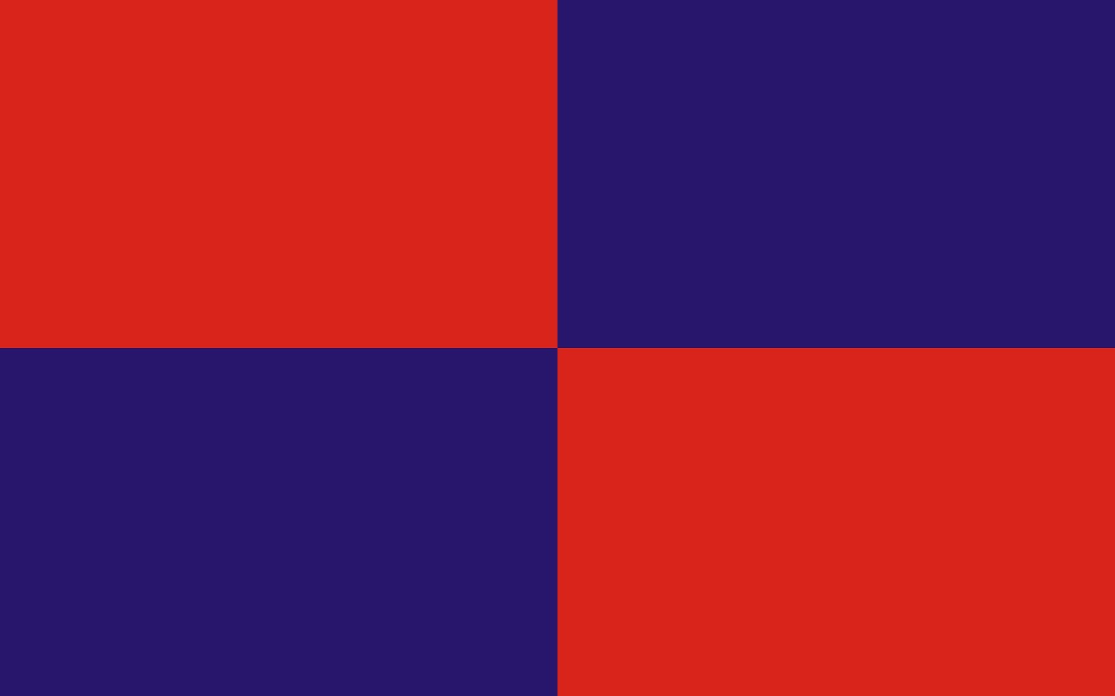 Drapeau large POL Rydzyna idéal pour célébrer la culture polonaise lors des fêtes