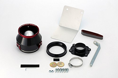 BLITZ(ブリッツ) CARBON POWER AIR CLEANER(カーボンパワーエアクリーナー) iQ KGJ10 35170