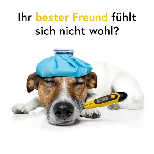 iProven Fieberthermometer Hund, Katze & Pferd – Präzises Hunde Fieberthermometer, genauen Fiebermessung, flexibler Spitze, wasserdicht, schnelle Messung 20 Sekunden, für Wurf und Tierarztbedarf