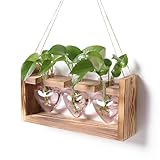 Estaciones de propagación de terrario de plantas hidropónicas decoración para el hogar y el jardín regalo para las mujeres con soporte de madera maceta de vidrio colorido en forma de corazón