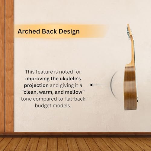 Image of Vault UK-100S 21 inch Arched Back Soprano Ukulele With Gig-Bag - Natural