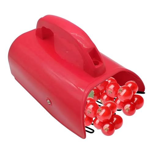Râteau à myrtilles, Peigne cueilleur de Baies, Outils de ramassage sûrs antirouille, Râteau à myrtilles Efficace avec poignée Ergonomique pour myrtilles, mûres, myrtilles
