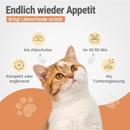 RECOACTIV Recovery Renal für Katzen, 3 x 90 ml, hochkalorisches Diät-Alleinfuttermittel bei Nierenfunktionsstörungen und erhöhtem Energiebedarf in der Rekonvaleszenz, zur Gewichtszunahme