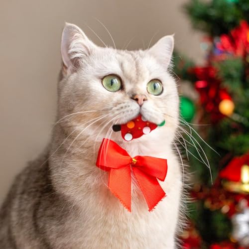 Valicaer Katzenspielzeug Weihnachten,5Pcs Interaktives Spielzeug Weihnachtsbaum Plüschspielzeug Haustierspielzeug Hundespielzeug Weihnachts Kauspielzeug für Haustiere Welpen Zahnreinigung