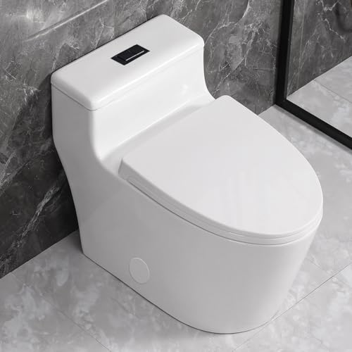 SouNor Dual-Flush
