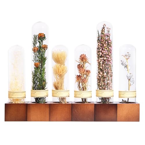 6Pcs Dried Flower Decor,Knick Knacks for Shelves,Cool Stuff for Bookshelf,Small