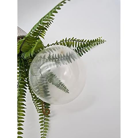 5 inch Latex Balloons Premium Quality Birthday Wedding Party Balloon Anniversary Decorations Romantic & Other Décor Themes Clear Color Pack of 25 Cover