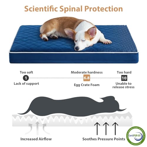 Image of WNPETHOME Orthopedic XL Dog Bed for Crate, Waterproof Extra Large Dogs Bed with Removable Washable Cover, Multi-Needle Quilting Dogs Crate Bed