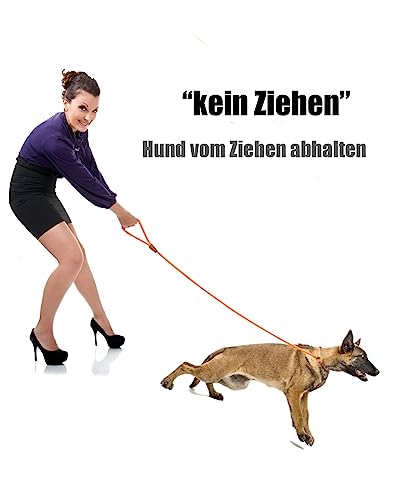 lynxking Schleppleine für Hunde Hundeleine Retrieverleine Führleine Zugleine für kleine mittelgroße große Hunde (Orange, Zugstopp-1.3cm x 180cm)