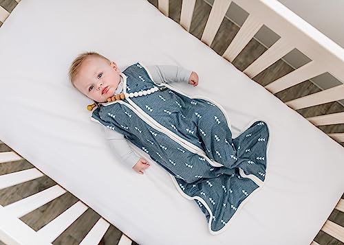 Image of Copper Pearl Baby Sleep Sack, North - Wearable Blanket for 18-24 Months, Sleeveless Sleep Sack for Baby Boy or Girl