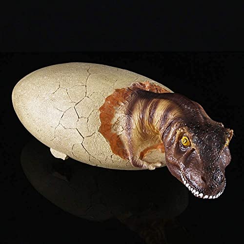 Esqueleto de dinosaurio en resina para resolver la decoración de estanterías 2