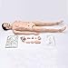 Life Size Patient Care Manikin - 5.57ft CPR Simulator for Nursing Skills Training, Medical Practice, Doctor Education, Healthcare Simulation Model