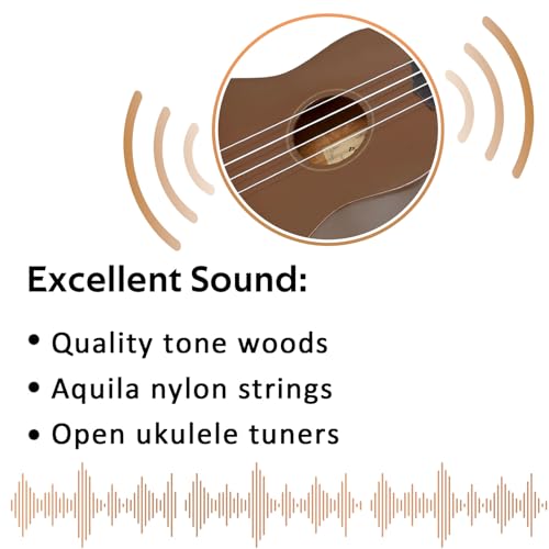 Image of POMAIKAI Soprano Wood Ukulele Rainbow Starter Uke Hawaii kids Guitar 21 Inch with Gig Bag for kids Students and Beginners (Brown)