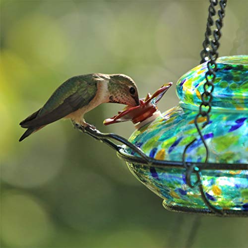 Nature's Way Bird Products Wwghf7 Hand Blown Spring Rain Illuminated Hummingbird Dish Feeder #TOP5