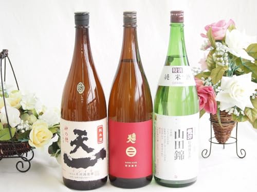 米の旨味よい日本酒3本セット(早川酒造部天一 純米酒 (三重県) 本田酒造 龍力 山田錦特別純米酒(兵庫県) 南部美人 特別純米酒 (岩手県)) 1800ml×3本