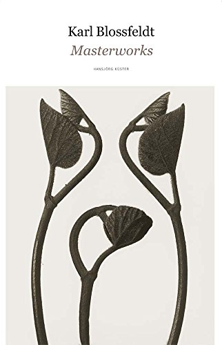 アート・デザイン・音楽 90s Karl Blossfeldt art book アート
