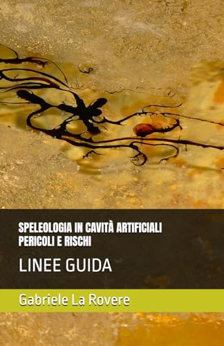 SPELEOLOGIA IN CAVITÀ ARTIFICIALI PERICOLI E RISCHI: LINEE GUIDA