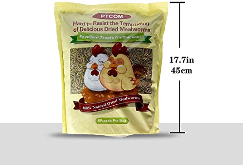 Hatortempt 5 Lbs Non-Gmo Dried Mealworms-High-Protein Mealworms For Wild Bird ,Chicken, Ducks,Fish,Reptile, Tortoise , Amphibian,Lizard #TOP2