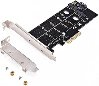 Dual M.2 PCIe Adapter, M2 SSD NVME (m key) or SATA (b key) 22110 2280 2260 2242 2230 to PCI-e 3.0 x 4 Host Controller Expansion Card with Low Profile Bracket for Desktop PCI Express Slot